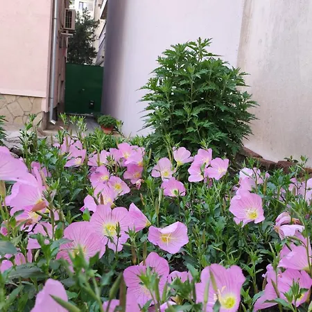 Διαμέρισμα Markovo Tepe House & Garden Φιλιππούπολη