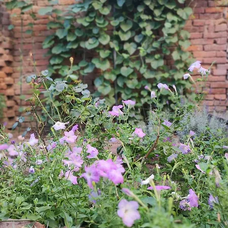 Markovo Tepe House & Garden Apartment